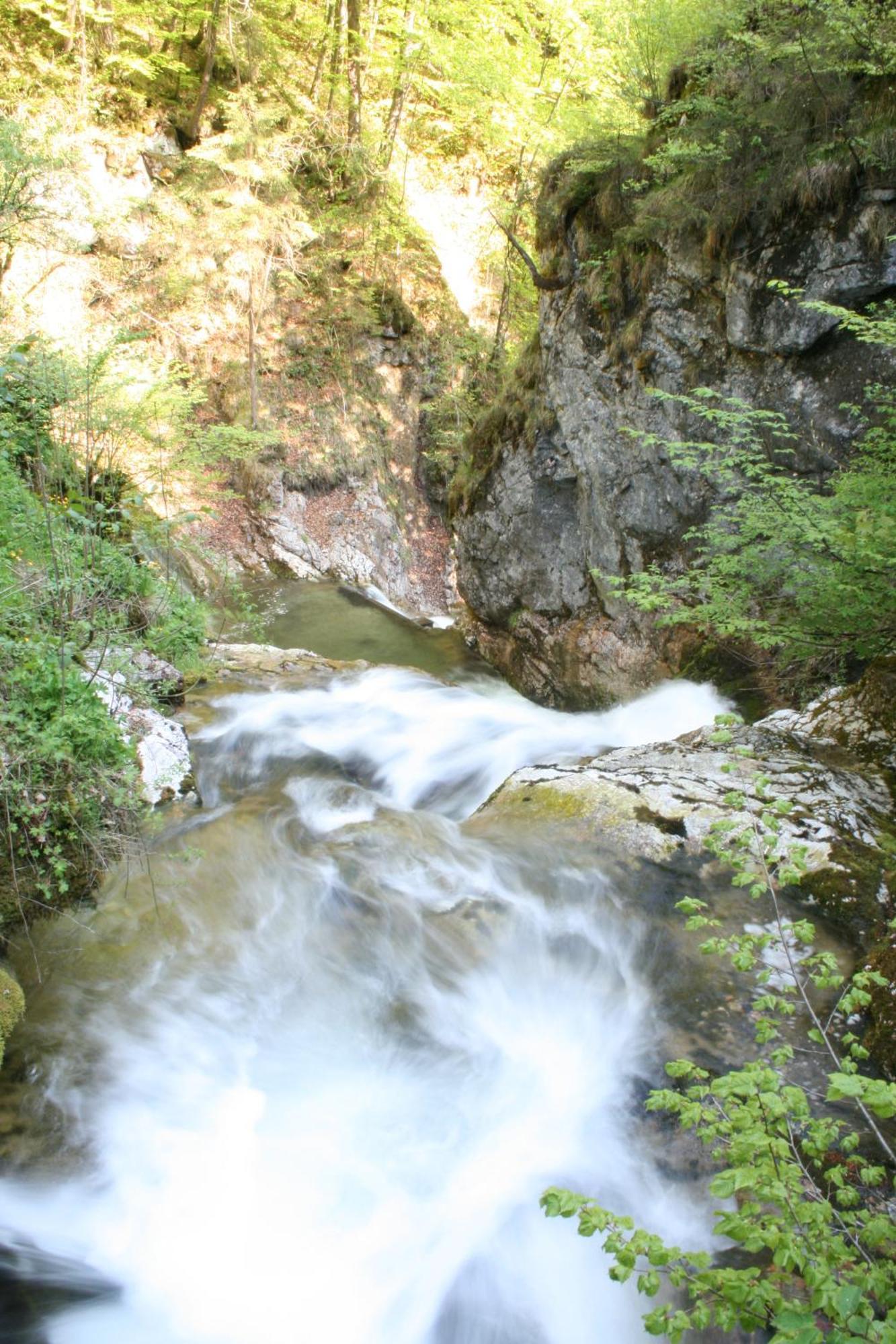 Hupfmuehle Pension Saint Wolfgang Buitenkant foto